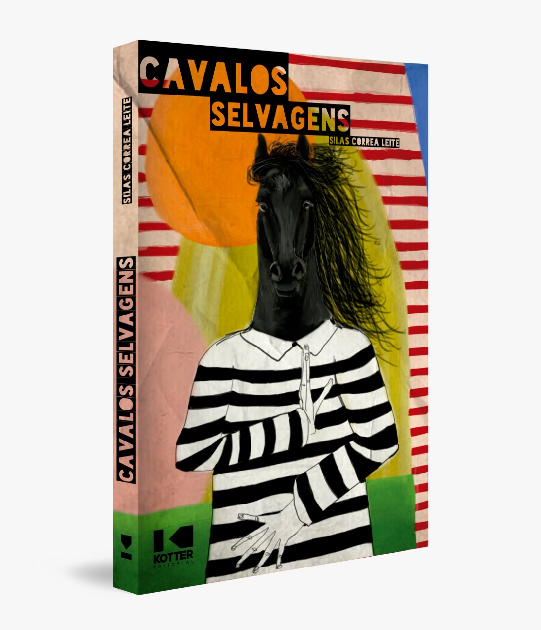 capa frontal cavalos selvagens primeira ideia