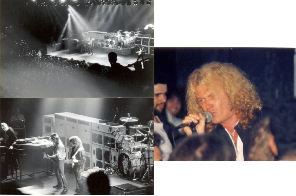 deep purple 91