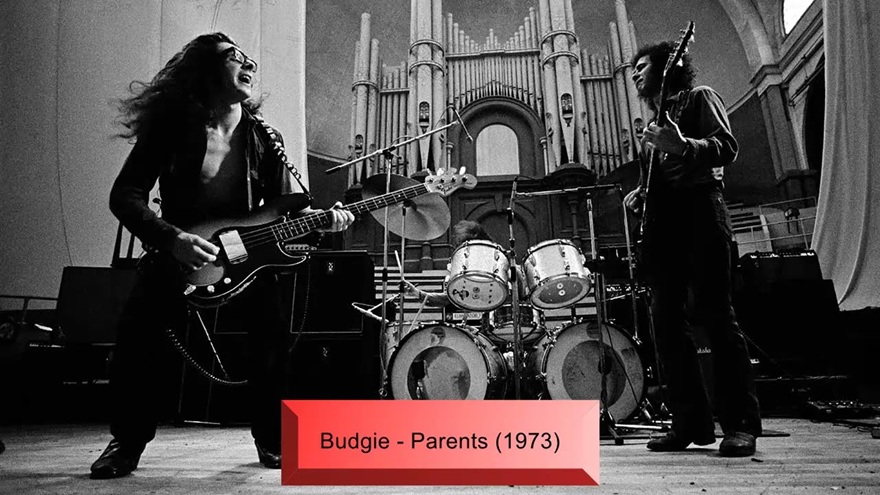 0 Budgie
