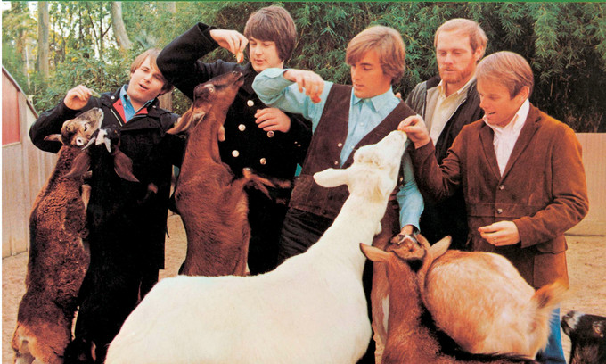 ringo 10