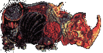 rhinotr