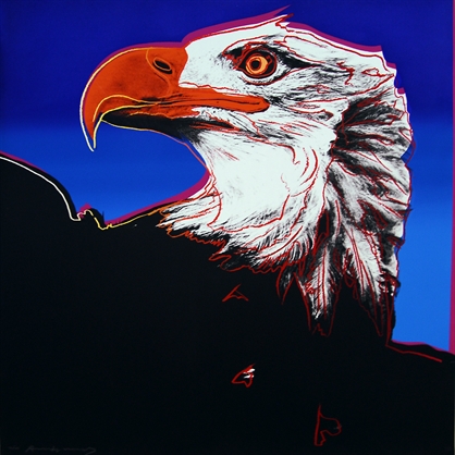 Bald eagle